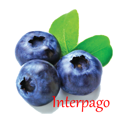 Interpago